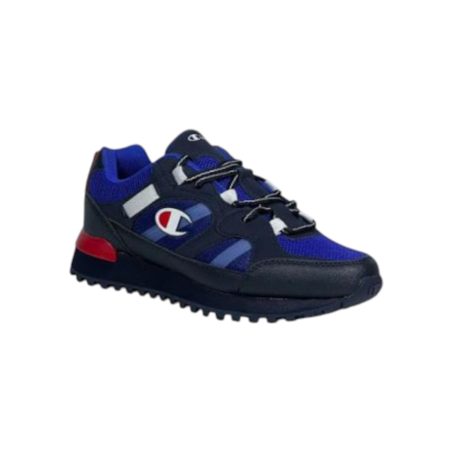 CHAMPION DSM 165 - S22147-BS010 – Image 2