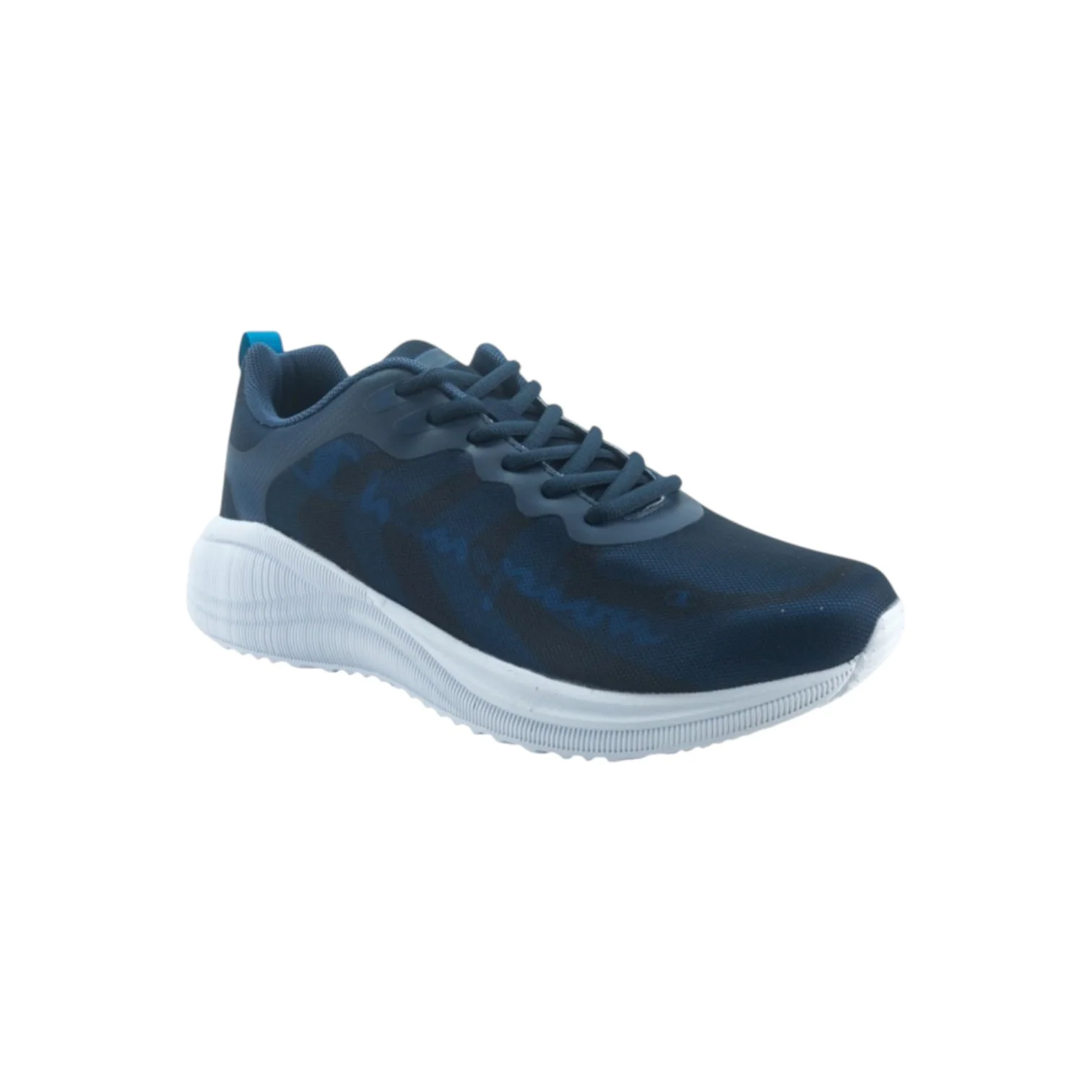 CHAMPION S22308-BS007 NNY/AQBL SYPHON SCRIPT – Image 2